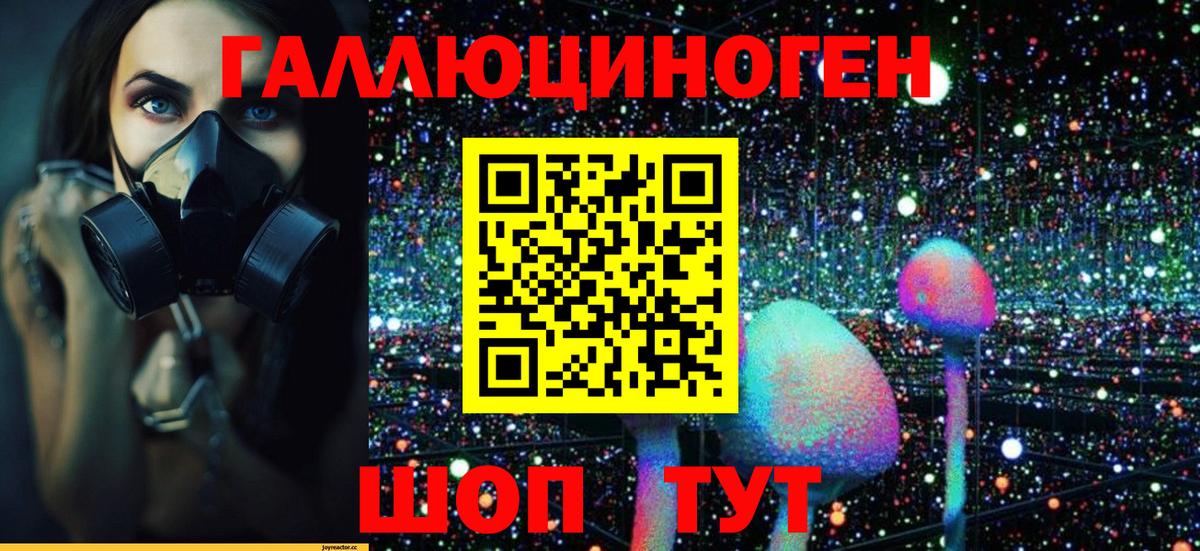 Галлюциногенные грибы GOLDEN TEACHER  где можно купить наркотик  Родники  Вход с VPN 