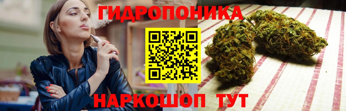 Канабис планчик Родники